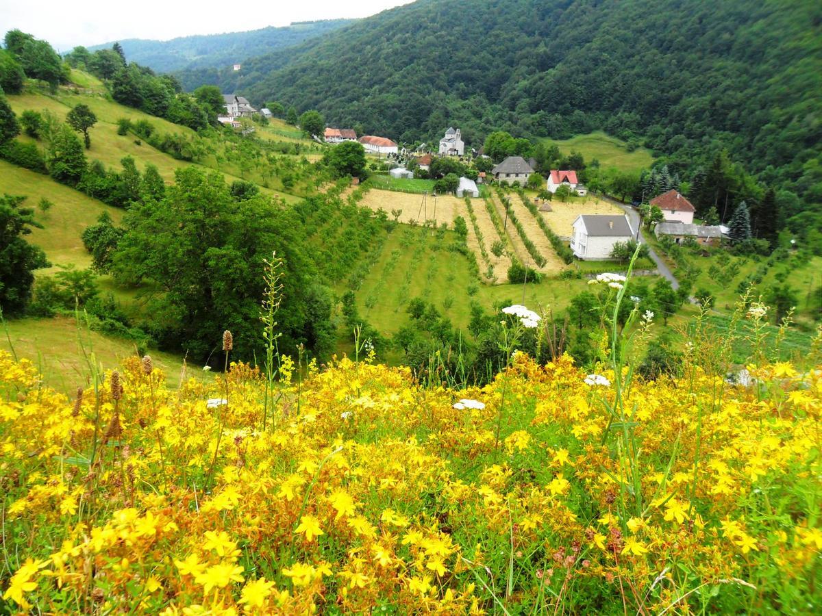 Kraljska Koliba - Kralje'S Cottage Andrijevica エクステリア 写真