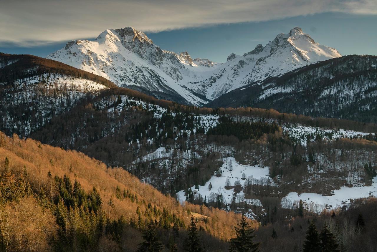 Kraljska Koliba - Kralje'S Cottage Andrijevica エクステリア 写真
