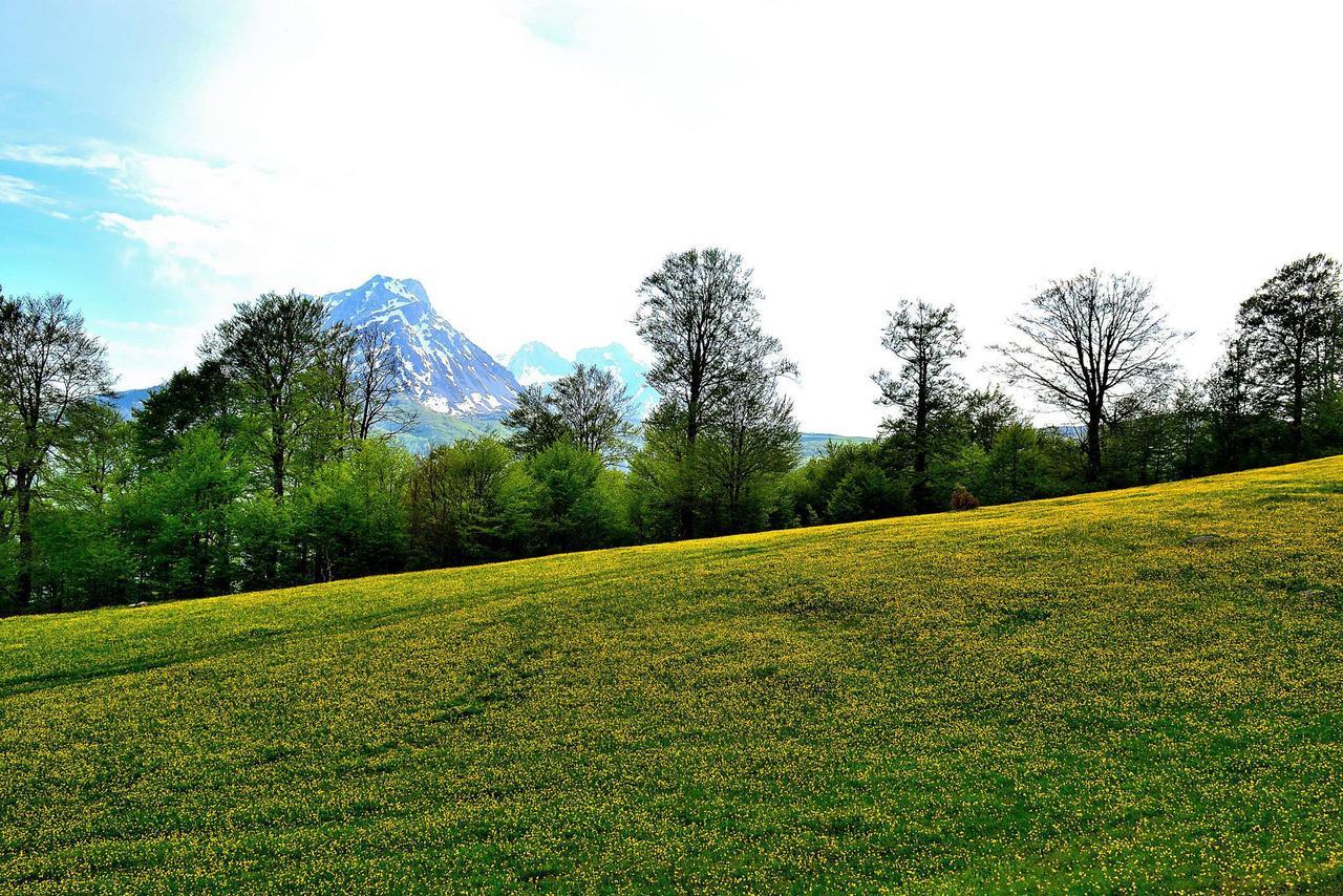 Kraljska Koliba - Kralje'S Cottage Andrijevica エクステリア 写真