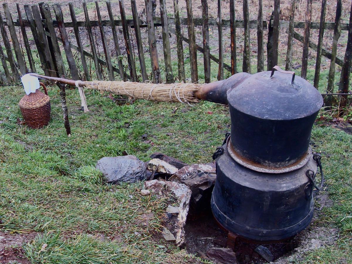 Kraljska Koliba - Kralje'S Cottage Andrijevica エクステリア 写真