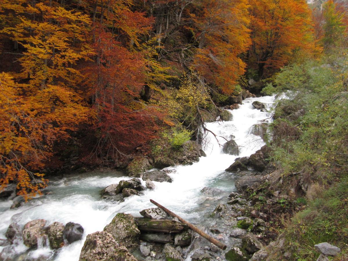 Kraljska Koliba - Kralje'S Cottage Andrijevica エクステリア 写真