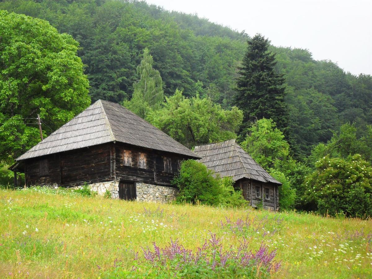 Kraljska Koliba - Kralje'S Cottage Andrijevica エクステリア 写真