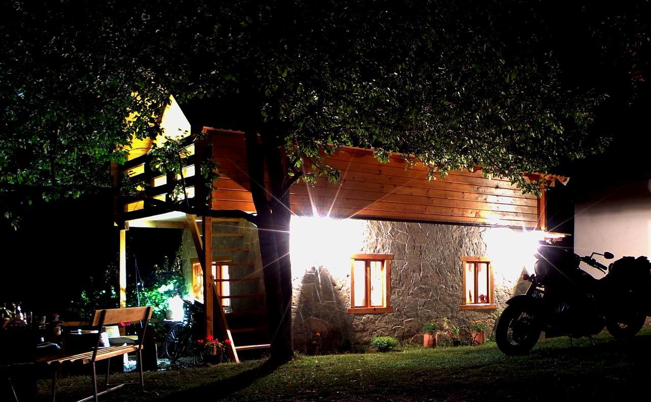Kraljska Koliba - Kralje'S Cottage Andrijevica エクステリア 写真