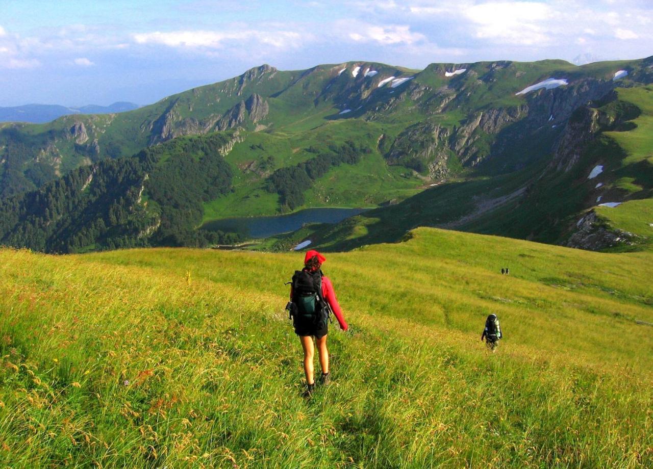 Kraljska Koliba - Kralje'S Cottage Andrijevica エクステリア 写真
