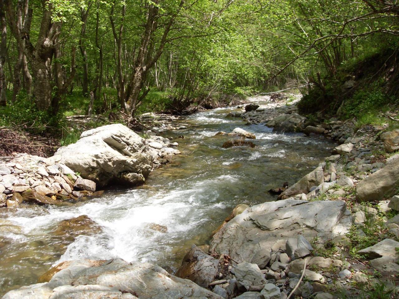 Kraljska Koliba - Kralje'S Cottage Andrijevica エクステリア 写真